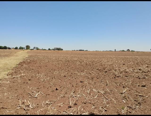 20.20HA VACANT LAND FOR SALE IN CHRISSIEFONTEIN